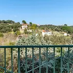 Il Faro * 塞勒里古